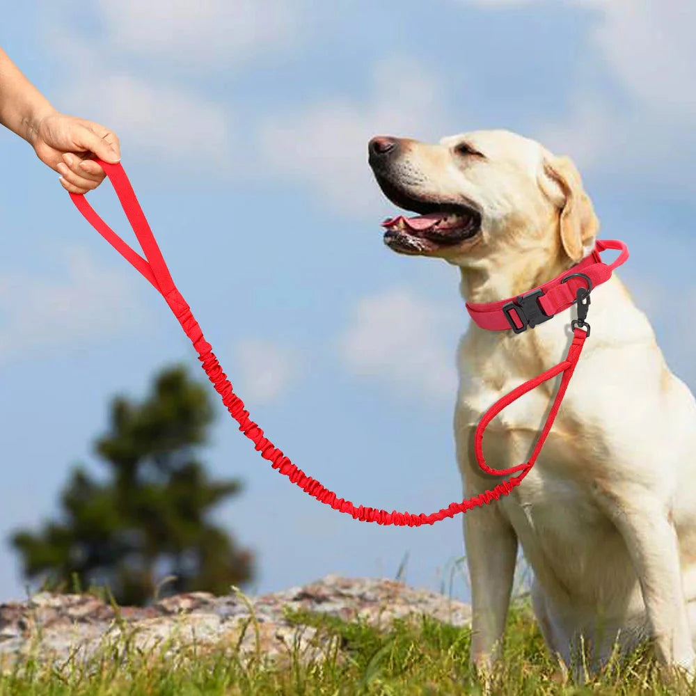 The Tactical Luxe Collar & Leash